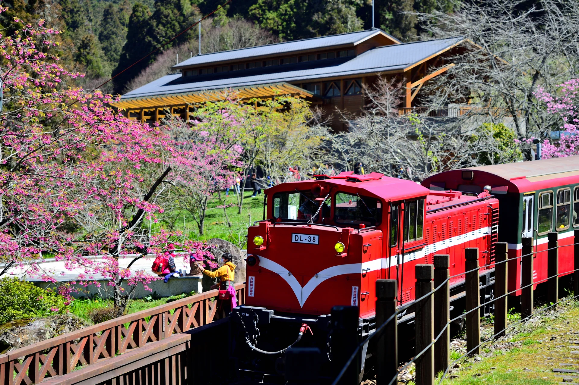 Alishan Forest Railway — The Mountain Rail Route That Matters Because The Journey Still Has Weight image 2