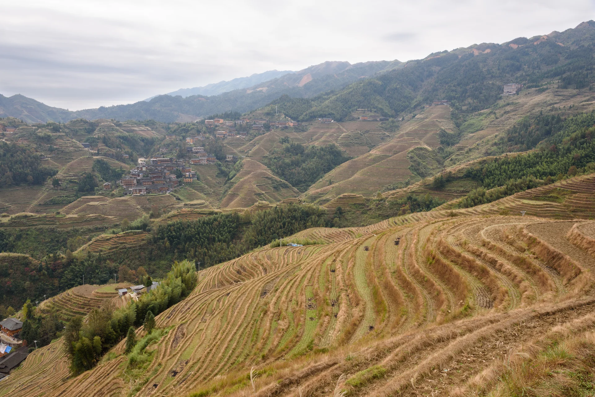 Longji Rice Terraces — The Mountain Farming Landscape That Needs Time, Light, And Village Patience image 2