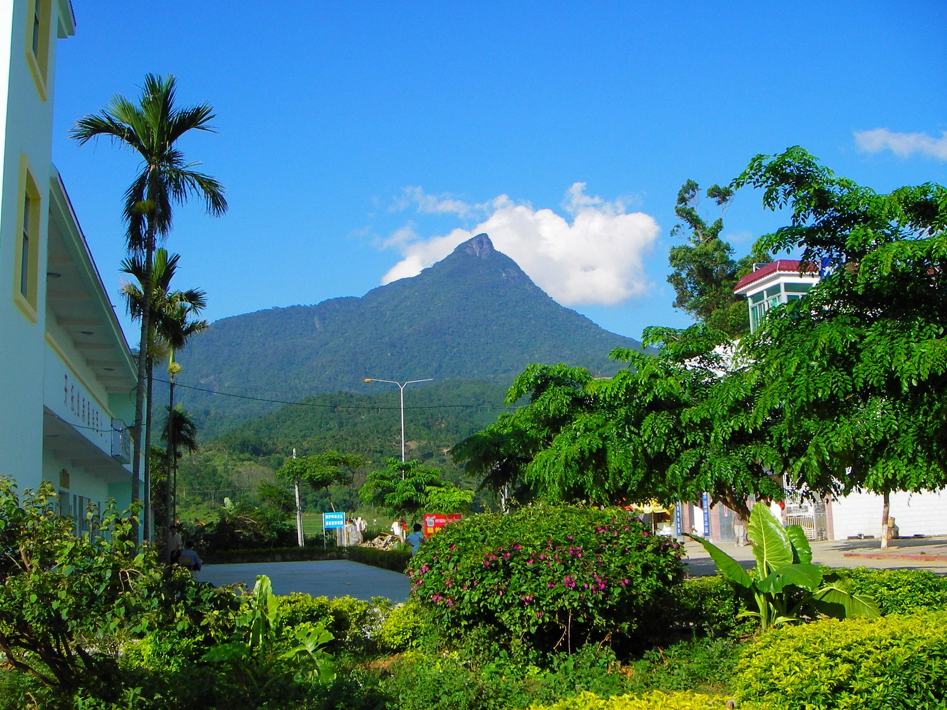 Wuzhishan — The Rainforest Peak Route That Gives Hainan A Serious Mountain Core image 2