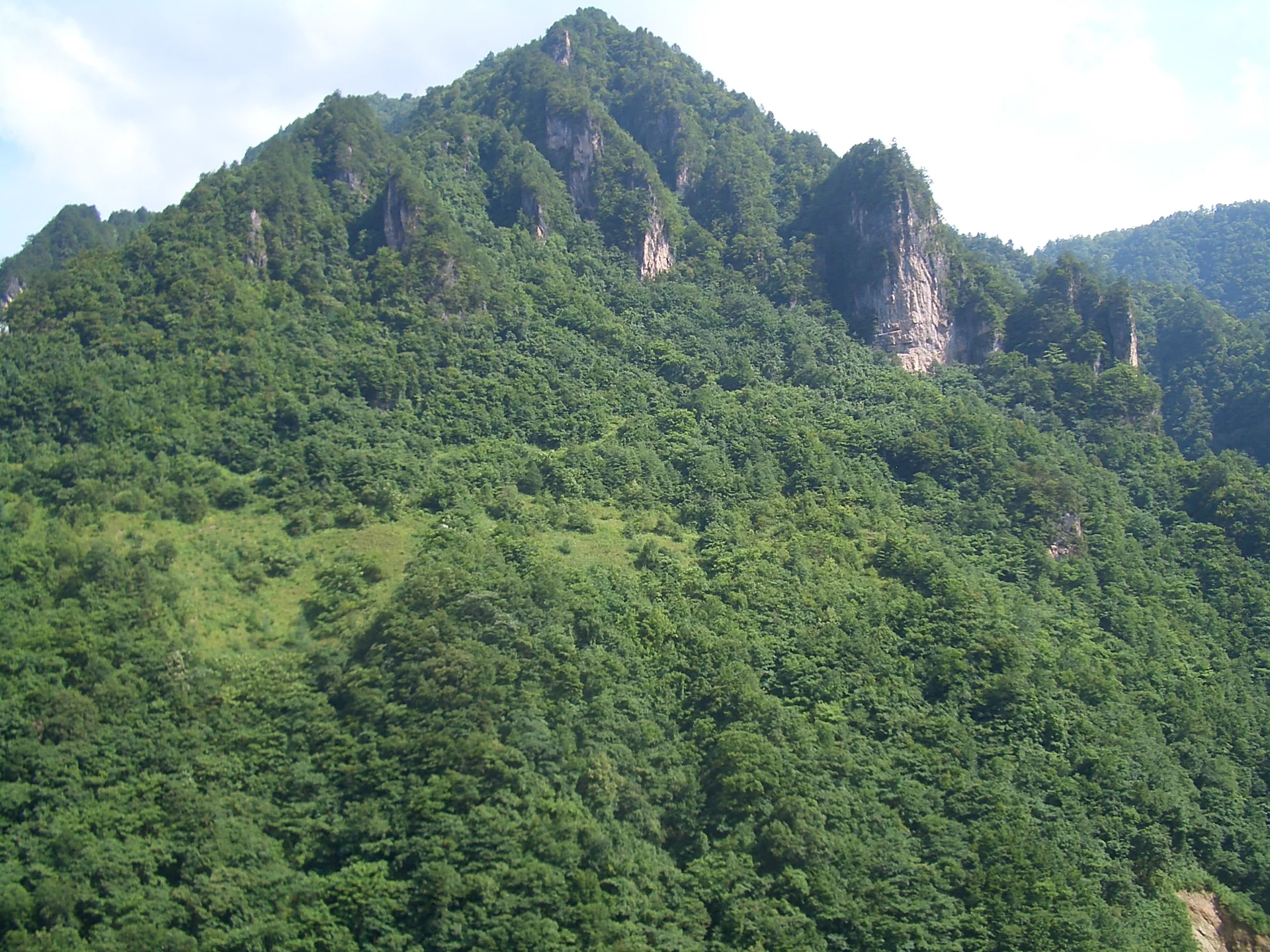 Shennongjia — The Mid-Latitude Forest That Only Works If You Respect Distance And Weather image 2