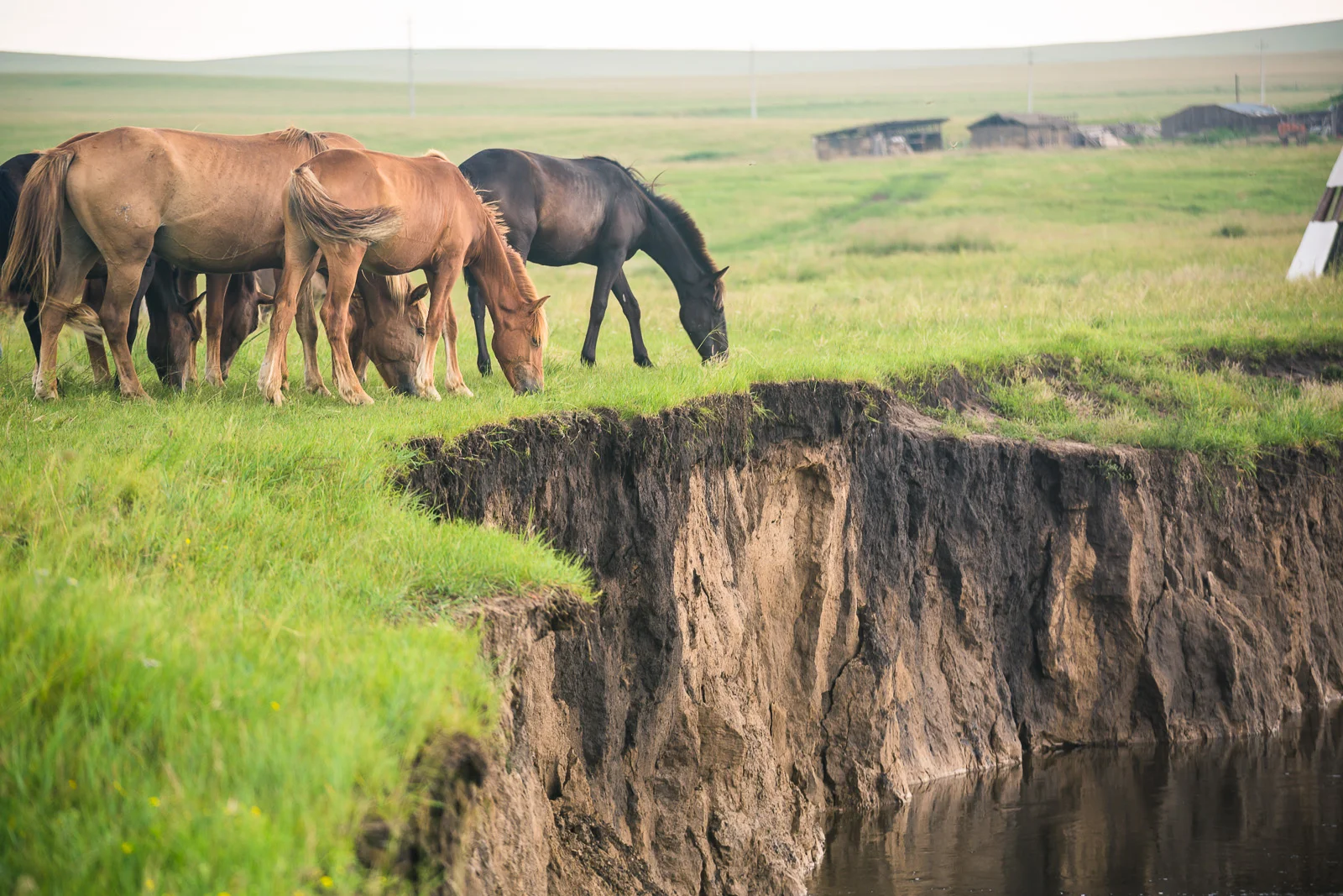 Hulunbuir Grasslands — The Steppe Route That Needs Distance, Not A Single Camp Photo image 2