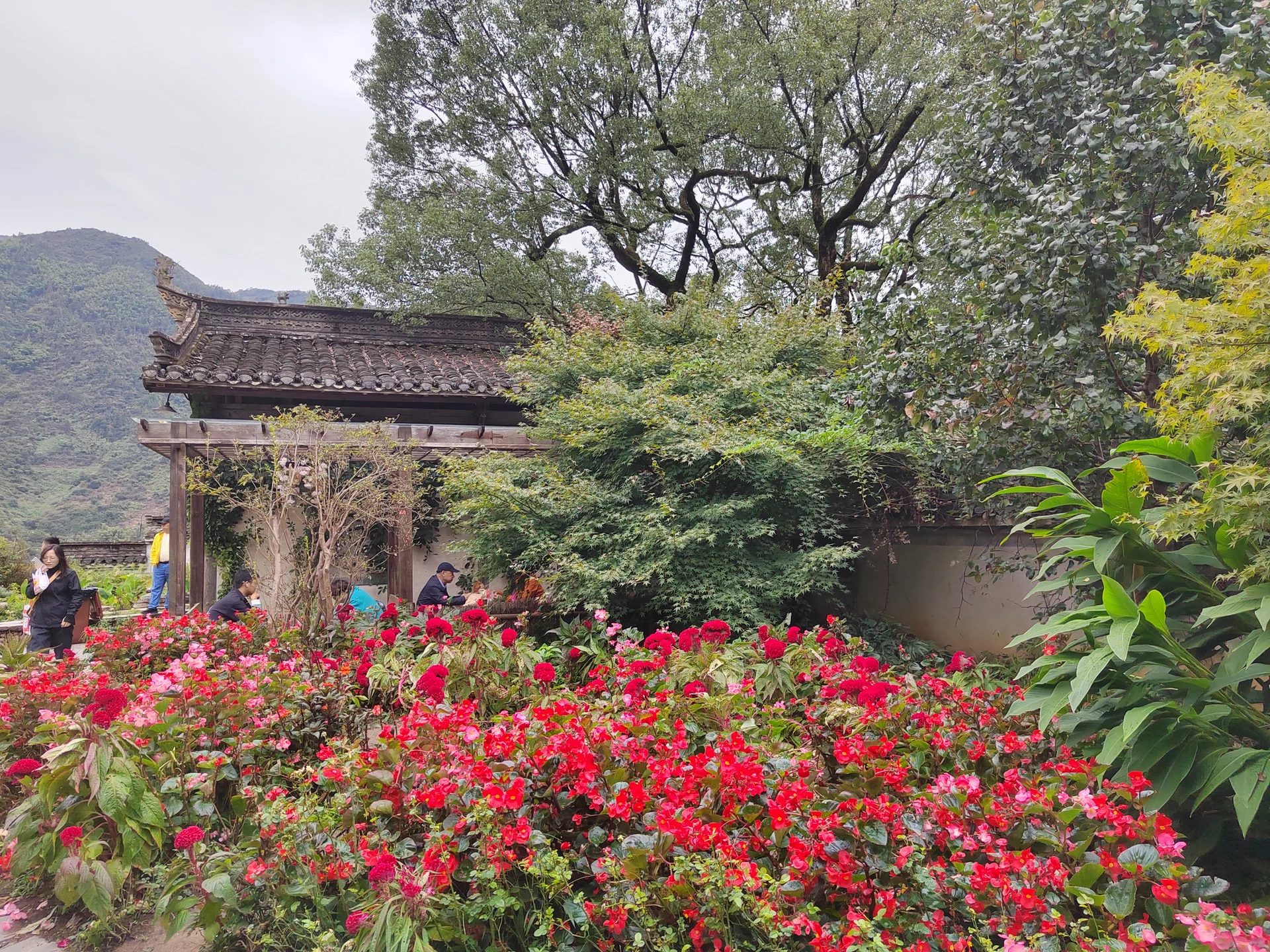 Wuyuan Huangling — The Hillside Village Where Rooflines And Seasonality Do The Real Work image 2