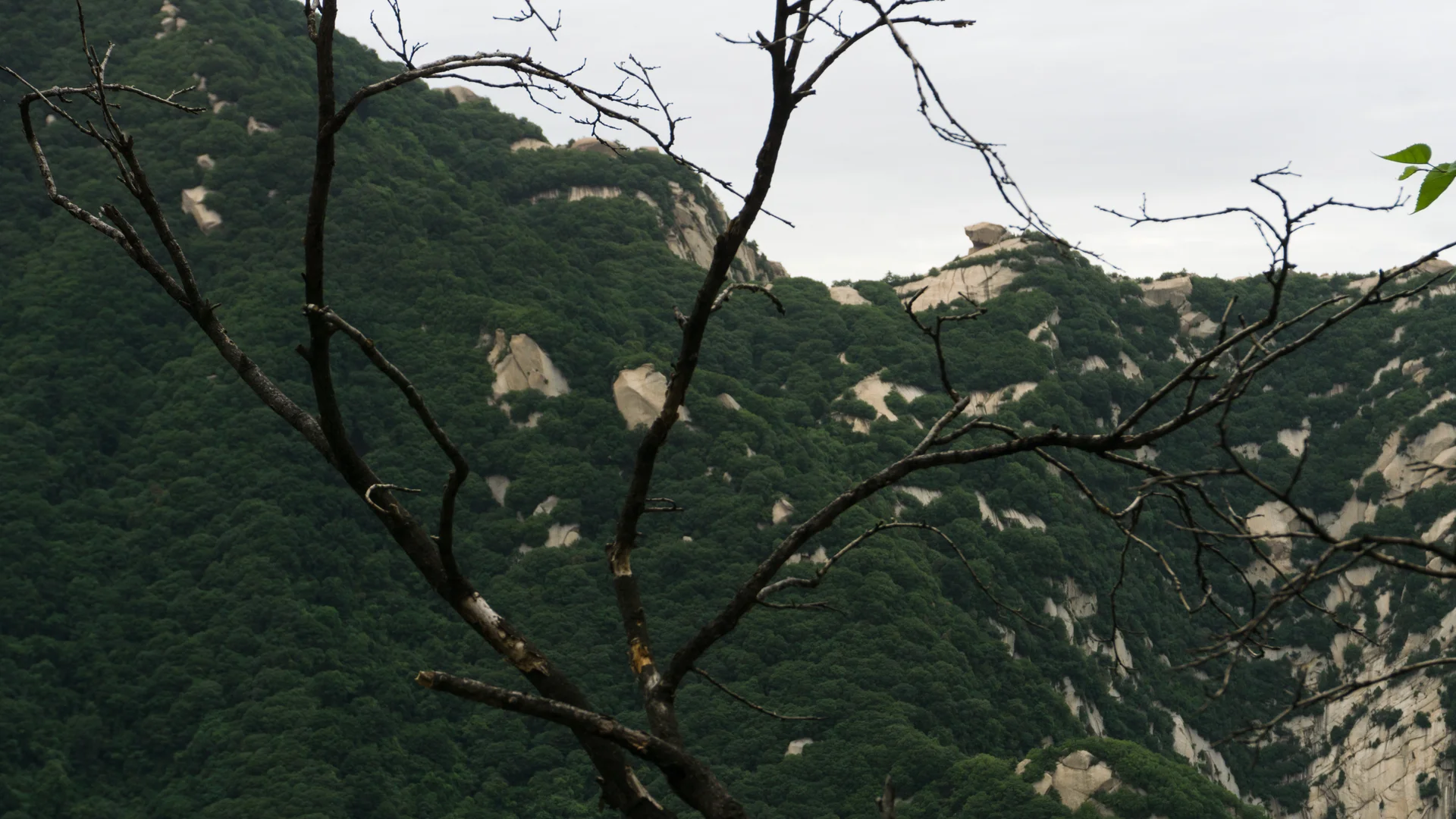 Mount Huashan — The Sacred Ridge Route That Rewards Nerve And Planning
