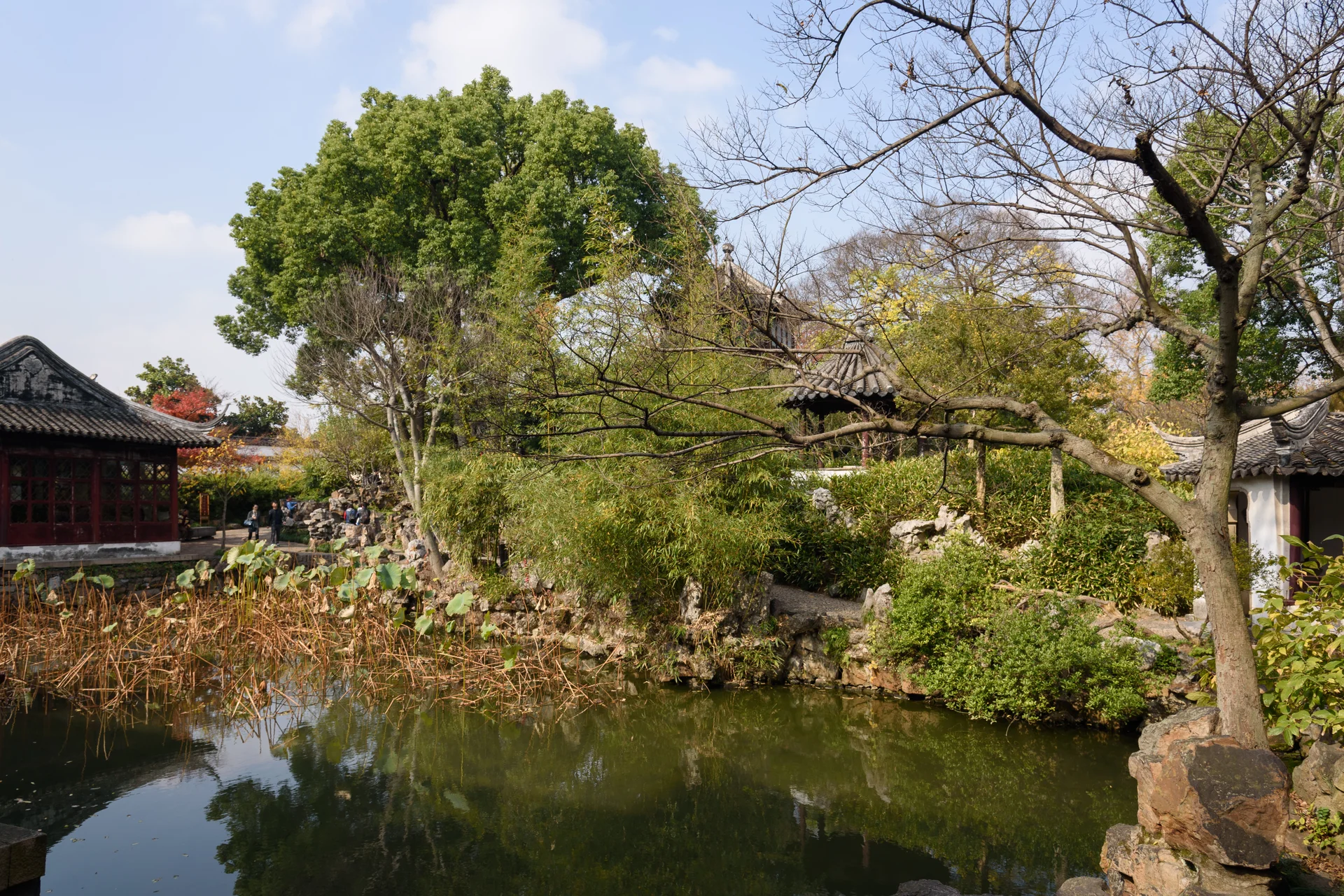 Suzhou Classical Gardens — The Scholar Landscapes That Reward Precision, Not Speed image 2