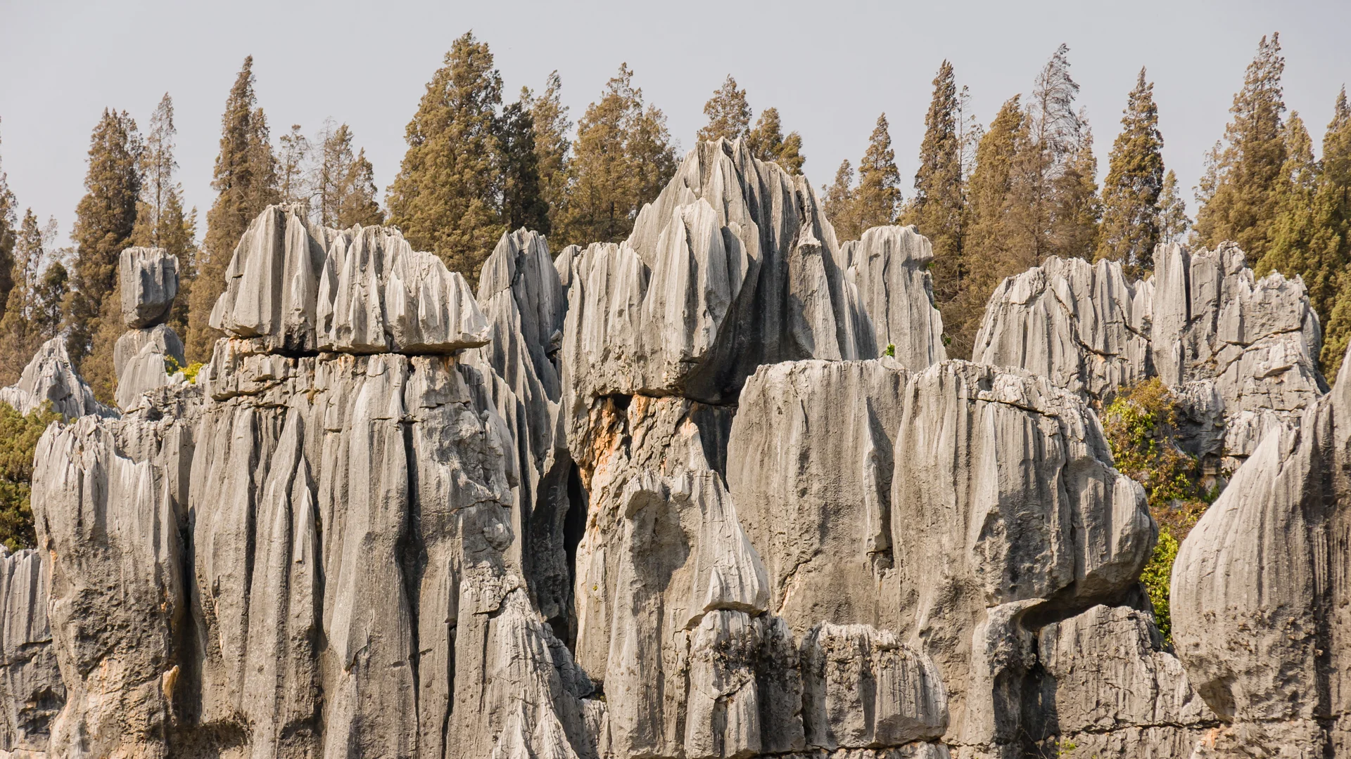 Stone Forest — The Yunnan Karst Maze That Works Through Geometry, Not Lush Scenery image 2